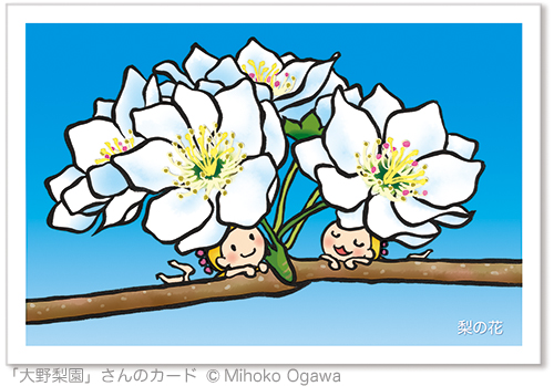 梨の花のイラスト 小川みほこ Illustrations